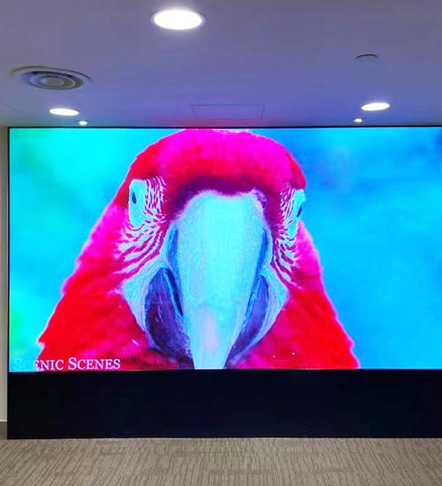 Indoor P1.53 small-pitch LED display.