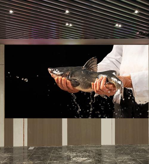 P2.5 indoor led display-2