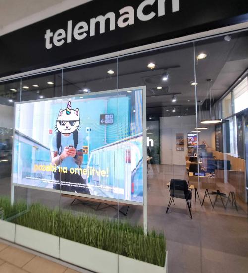 Window led transparent display